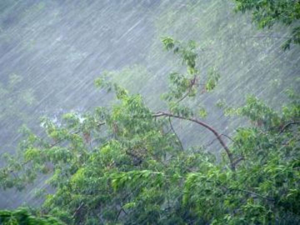 Havanın temperaturu ötən günlərlə müqayisədə tədricən 4-5° aşağı enəcək.