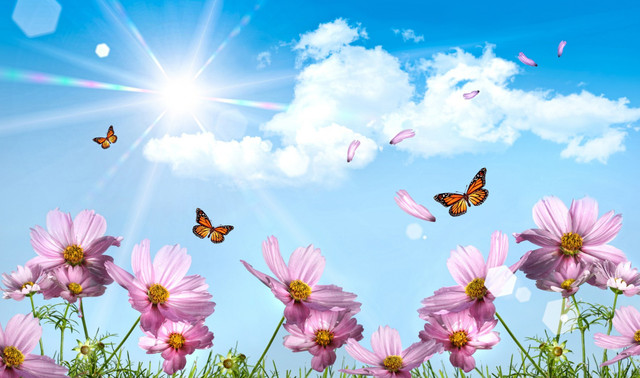 Yaxın günlərdə müşahidə olunacaq hava şəraiti