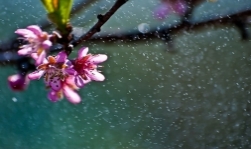 Yaxın günlərdə müşahidə olunacaq hava şəraiti
