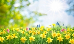 Ölkə ərazisində sabit, yağmursuz hava şəraiti müşahidə olunur.