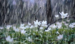 Səhər saatlarından Gəncədə intensiv yağış davam edir