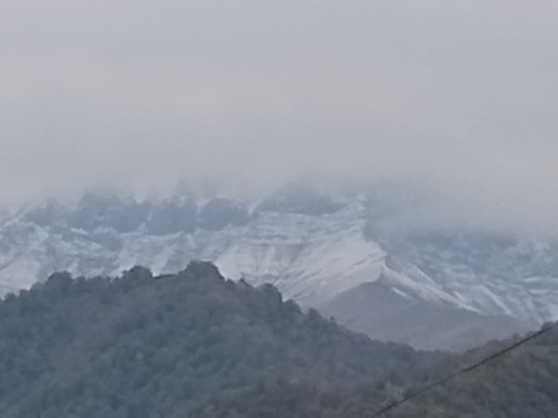 Faktiki və Gözlənilən Hava