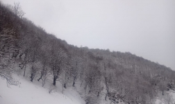 Qərb Regional Hidrometeorologiya mərkəzinin faktiki məlumatı