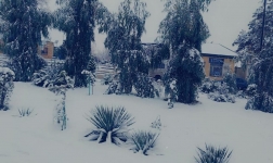 Aran RHM - Sabirabad meteoroloji stansiyası
