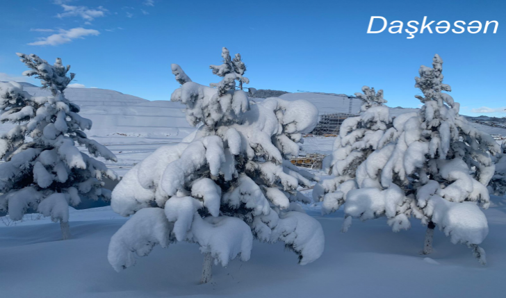 Daskesen 2