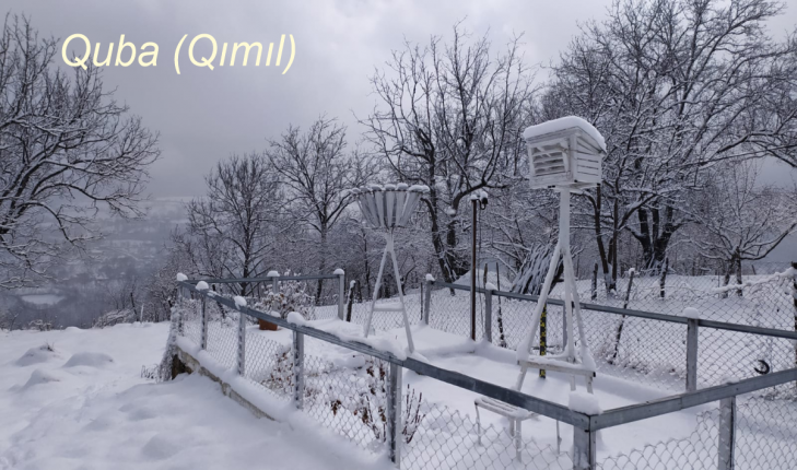 Quba Qımıl 1