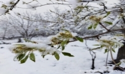 Qarlı hava şəraitindən bölgələrimizin təbiət mənzərələri