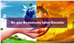 15 may Beynəlxalq İqlim Günüdür