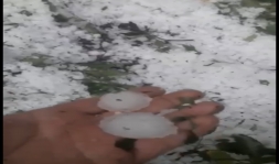 FAKTİKİ MƏLUMAT