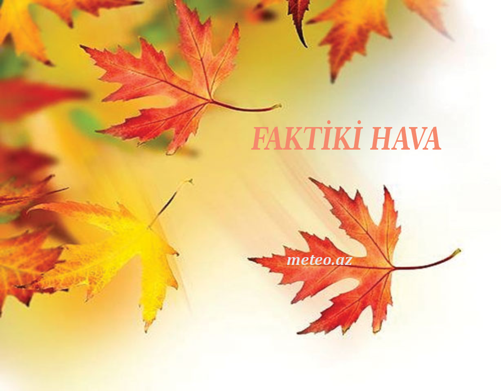 FAKTİKİ HAVA