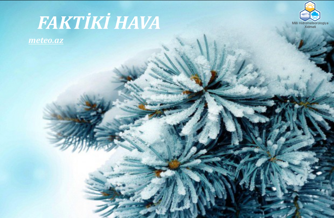 Yanvarın 24-ü saat 10:00-a olan faktiki hava