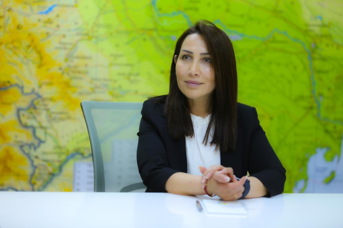 Ekologiya və Təbii Sərvətlər Nazirliyi küləkli hava şəraiti ilə bağlı vətəndaşlara müraciət edib