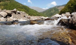 Çaylarda gursululuq dövrü ilə əlaqədar məlumat şərh olunur