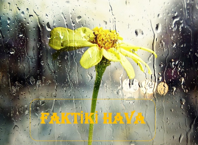 Ölkə ərazisində müşahidə olunan faktiki hava
