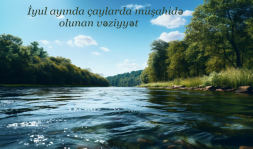 İyul ayında çaylarda müşahidə olunan vəziyyət