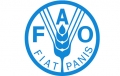 FAO Water